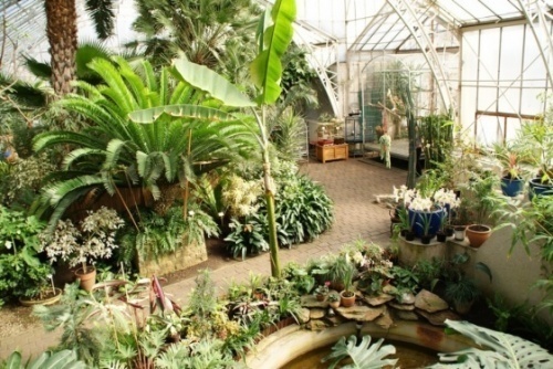 W palmiarni muzyka, poezja i kwiaty dla senior&oacute;w